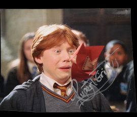 71699 Ron Weasley Rupert Grint Howler Letter 9